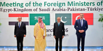 Diplomaci në krizë: Turqia, Egjipti dhe Arabia Saudite takohen në Pakistan për Hormuzin