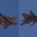 F-22 Raptor modernizohet: SHBA teston rezervuarë “stealth” dhe sensorë të avancuar