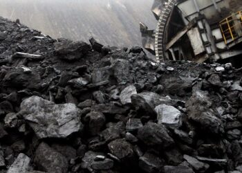 Aksion kundër nxjerrjes ilegale të thëngjillit në Vushtrri, arrestohen gjashtë persona