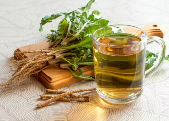 Bimët që “pastrojnë” trupin: Zgjidhje natyrale kundër podagrës dhe gurëve në veshka