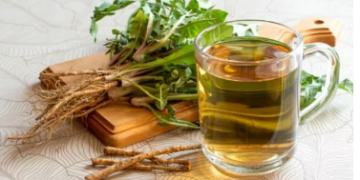 Bimët që “pastrojnë” trupin: Zgjidhje natyrale kundër podagrës dhe gurëve në veshka