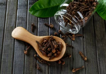 Mjetet më efektive natyrale për luftimin e parazitëve në organizëm