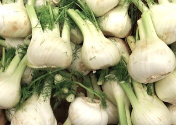 Pse kopra është shumë e dobishme për gratë