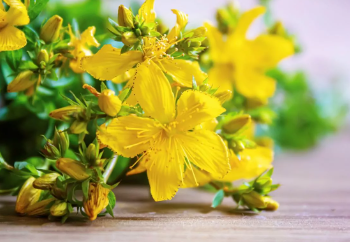 Kurat natyrale për ishiasin: çajra dhe kompresa që lehtësojnë dhimbjen