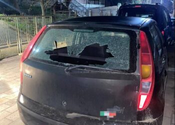 Mitrovicë e Veriut: Policia arreston një person për vrasje në tentativë, sekuestron armë dhe drogë