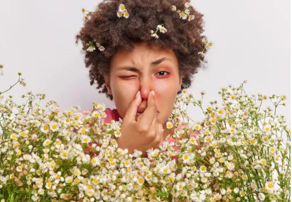Çaji natyral kundër alergjisë nga poleni – zgjidhje e thjeshtë për sezonin e pranverës
