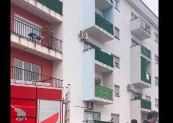 Tragjedi në Malishevë: Babai dhe dy fëmijë humbin jetën nga asfiksia e dyshuar