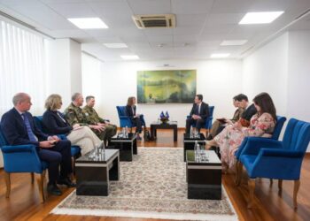 Kryeministri Kurti pret zyrtaren e NATO-s, Hallengren: Kosova synon rritjen e kapaciteteve ushtarake dhe integrimin në aleancë