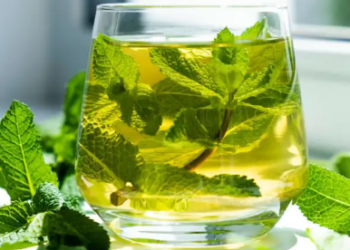 Menta, e egër apo pikante? Ja si t’i dalloni dhe pse duhen në çdo shtëpi