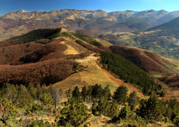Parku Kombëtar “Sharri” bëhet pjesë e EUROPARC, Kosova për herë të parë në rrjetin evropian të parqeve
