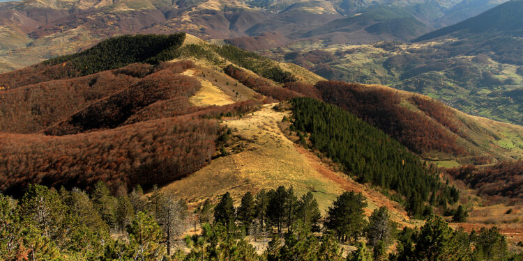 Parku Kombëtar “Sharri” bëhet pjesë e EUROPARC, Kosova për herë të parë në rrjetin evropian të parqeve
