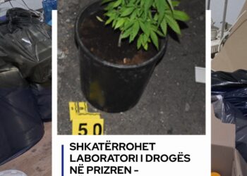 Shkatërrohet laborator droge në Prizren, dy të arrestuar