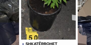 Shkatërrohet laborator droge në Prizren, dy të arrestuar