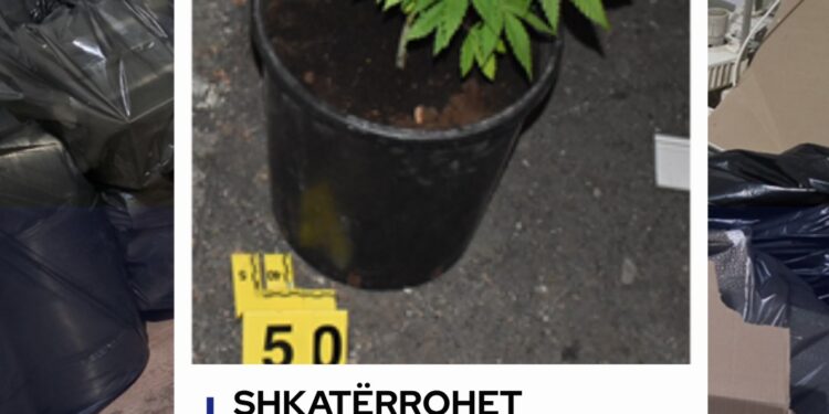 Shkatërrohet laborator droge në Prizren, dy të arrestuar