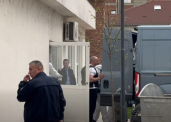 Krasniqi për rastin në Malishevë: Dy fëmijët e tjerë janë në kujdesin e gjyshërve