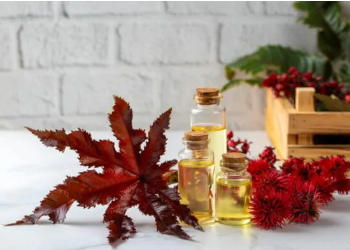 Mbështjelljet me vaj ricini: terapia natyrale që ndihmon pjellorinë dhe balancën hormonale