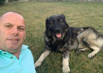 Shpërthen Lladrovci: “Mos e rreh këlyshin  se kur rritet, të hakmerret” – thumb i fortë për politikën.