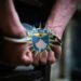 Përfundojnë në pranga dy vëllezër në Podujevë, kanosën njëri-tjetrin.