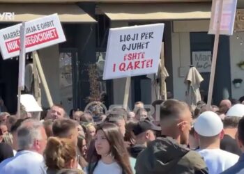 “‘Ligji për gjuhët është i qartë – përgjegjësi’, studentët protestojnë në Shkup”.