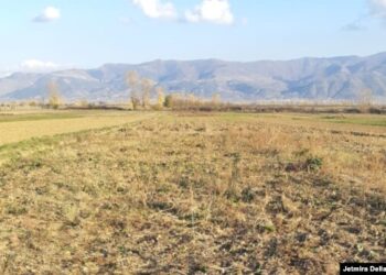 Kosovarët po e lënë tokën djerrë: Mbi 6 mijë hektarë pa u punuar gjatë 2025-ës.