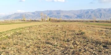 Kosovarët po e lënë tokën djerrë: Mbi 6 mijë hektarë pa u punuar gjatë 2025-ës.