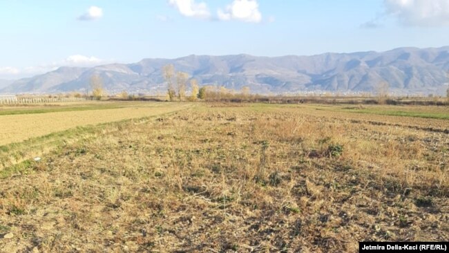 Kosovarët po e lënë tokën djerrë: Mbi 6 mijë hektarë pa u punuar gjatë 2025-ës.