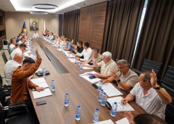 LDK rreshtohet pas Abdixhikut, Kolegjiumi i Degëve i jep mbështetje të plotë kryetarit dhe Kryesisë