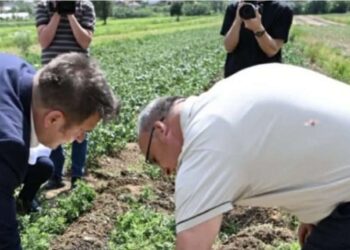 Pas kritikave, Pishman Muja e largon pjesën e përurimit të “vadës” në Podujevë.