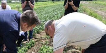 Pas kritikave, Pishman Muja e largon pjesën e përurimit të “vadës” në Podujevë.
