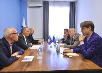 Hamza pret eurodeputetin Terras: Institucionet funksionale dhe rikthimi i besimit, prioritet për Kosovën.