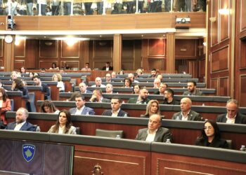 Deputetja e PDK-së: Pa marrëveshje politike, nuk e votojmë presidentin.
