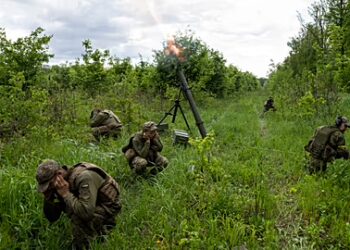 Vullnetarët francezë stërviten me Legjionin Ndërkombëtar të Ukrainës, përgatiten për frontin kundër Rusisë