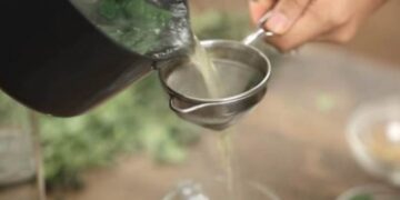 Hithra, një bimë me vlera ushqyese – çfarë thotë shkenca për përfitimet e saj?
