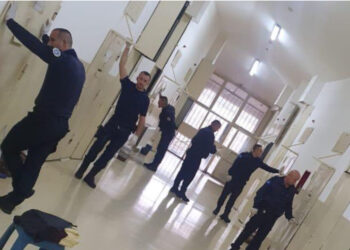 Bastisje në burgun e Dubravës, gjendet marihuanë brenda institucionit.