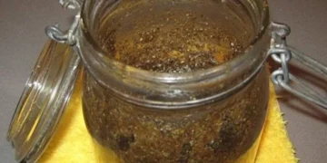 Recetë popullore me bimë shtëpie për cistet – çfarë pretendohet dhe si përgatitet