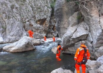 Gjetja e trupit të Erkin Likës, Mbrojtja Civile: Në operacion morën pjesë 90 forca, përfshirë ekipet nga Kosova.
