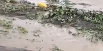 Vërshimet godasin Rahovecin, dëme të mëdha në bujqësi.