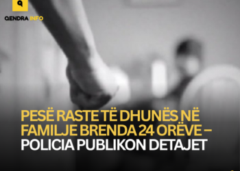 Pesë raste të dhunës në familje brenda 24 orëve – Policia publikon detajet.