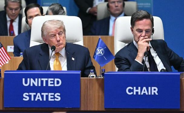 NATO 3.0, riorganizim apo tërheqje amerikane? Ish-ambasadori i SHBA-së: “Buzëkuq mbi një derr”