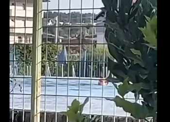 Musliu publikon videon: “Kurti bën qejf në Bajë të Malishevës, ne e prisnim në zyrat e Qeverisë”