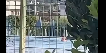 Musliu publikon videon: “Kurti bën qejf në Bajë të Malishevës, ne e prisnim në zyrat e Qeverisë”
