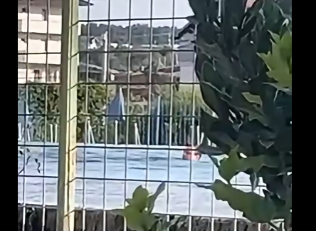 Musliu publikon videon: “Kurti bën qejf në Bajë të Malishevës, ne e prisnim në zyrat e Qeverisë”
