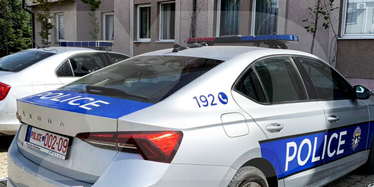 Incident në stacion policor: Gruaja shtyn zyrtarin policor dhe shfaq sjellje agresive.