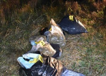Sekuestrohen 9.4 kilogramë marihuanë në brezin kufitar në Gjakovë, arrestohet një shtetas turk