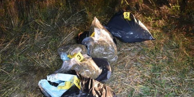 Sekuestrohen 9.4 kilogramë marihuanë në brezin kufitar në Gjakovë, arrestohet një shtetas turk