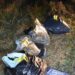 Sekuestrohen 9.4 kilogramë marihuanë në brezin kufitar në Gjakovë, arrestohet një shtetas turk