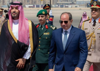 Egjipti dhe Arabia Saudite thellojnë bashkëpunimin për sigurinë e Detit të Kuq