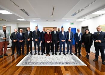 Partitë shqiptare të Luginës bashkohen në një listë për zgjedhjet në Serbi