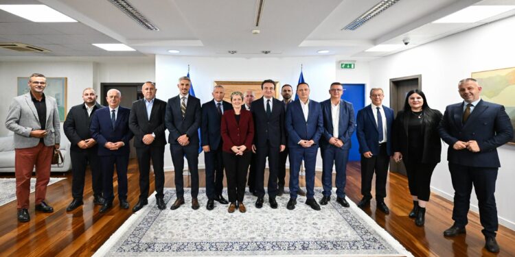 Partitë shqiptare të Luginës bashkohen në një listë për zgjedhjet në Serbi
