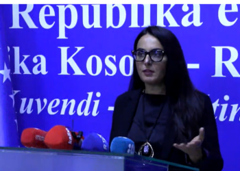 Lushaku-Sadriu: Konstituimi i Kuvendit dëshmon se institucionet formohen kur ka vullnet politik